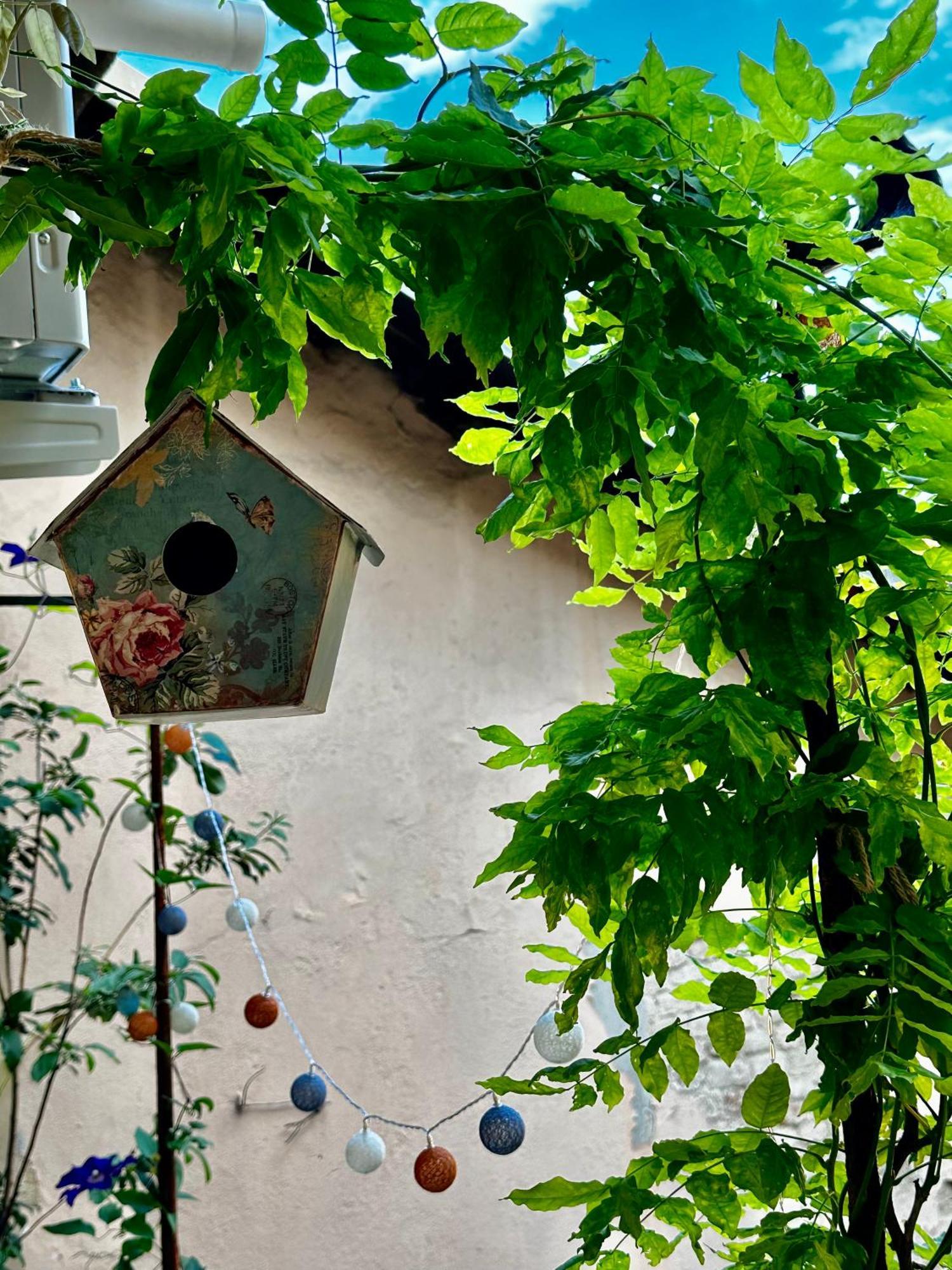 都灵Il Balconcino Del Centro Storico公寓 外观 照片